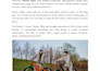 create SEO blog posts on cars, bikes, and electric vehicles